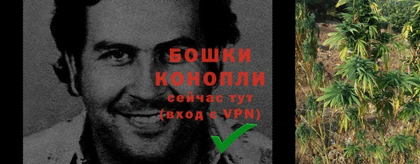 шишки Вязьма