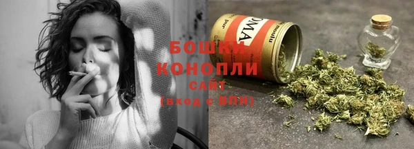 стафф Вяземский