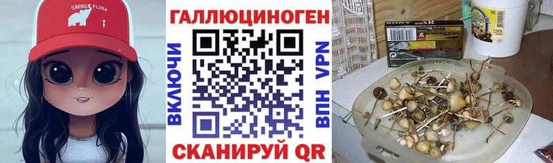 Галлюциногенные грибы ЛСД  Купить где  Красный Кут 