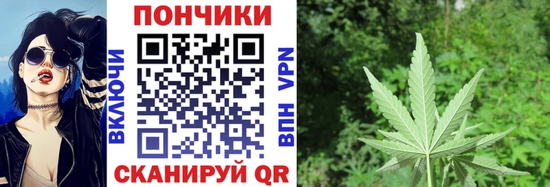 Бошки Шишки MAZAR Красный Кут